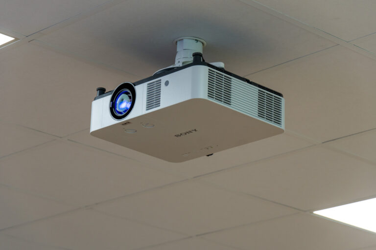 Flamingo Pet Products - Sony laserprojector